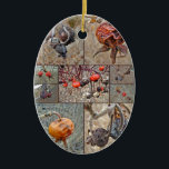 Ro Hip Collage Julgransprydnad Keramik<br><div class="desc">Detta är ett urval i februari bilder av ro-högar i Quissett Harbor i Falmouth,  Cape Cod,  Massachusetts. De var så underbart varierade i färg,  storleka,  formmässiga och skrumpna. Ro är fröna till växterna i ro - leta efter dem i min kategori Träd,  Löv,  Vines,  Berries,  Bark,  Seeds och Fruit.</div>