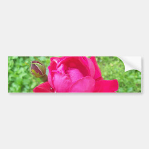 Ro i Bloom Bildekal