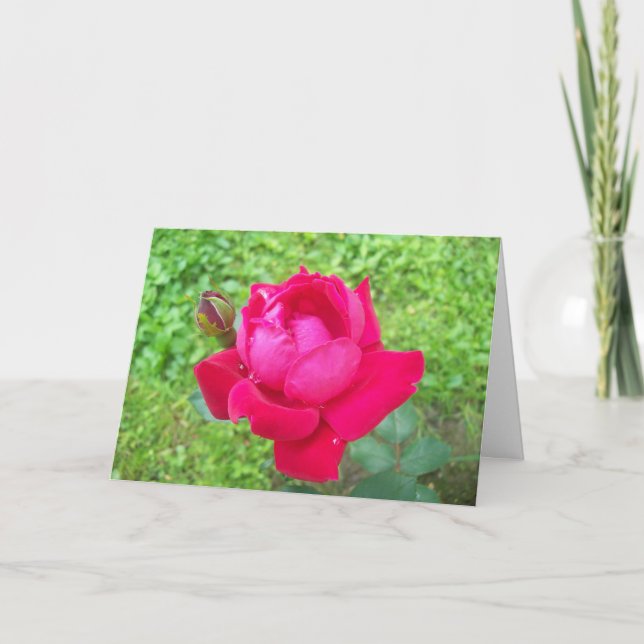 Ro i Bloom Kort (Framsida)