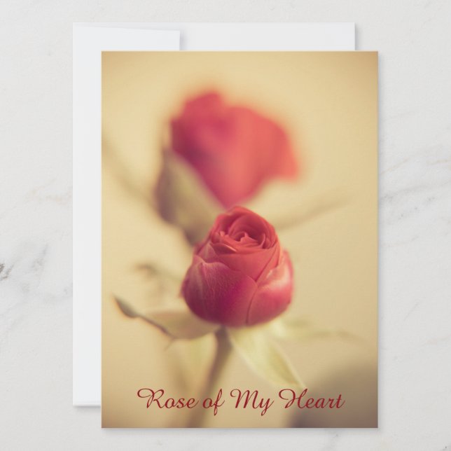 Ro i mitt hjärta (Framsida)