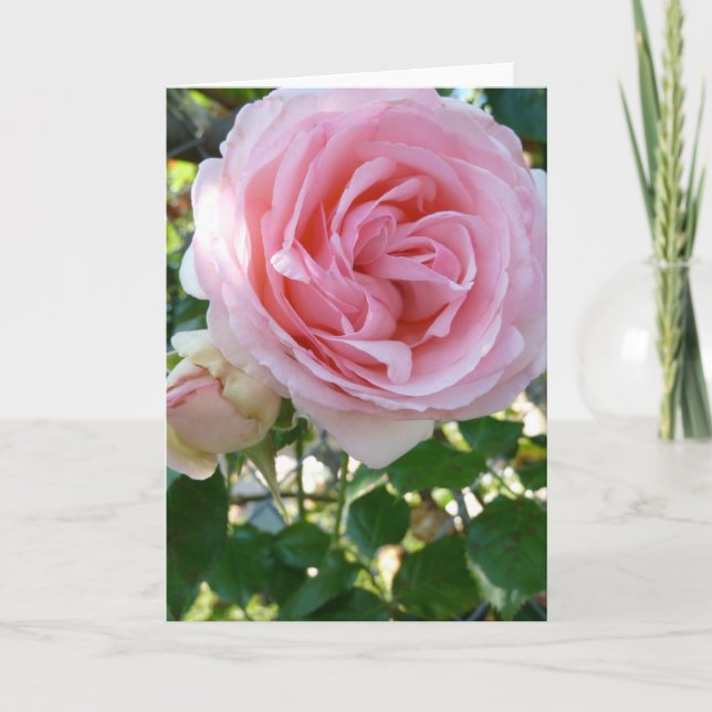 Ro i Rosa Greeting Card Kort (Framsida)