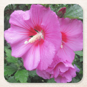 Ro i Sharon Floral Photography Underlägg Papper Kvadrat