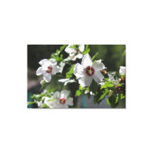 Ro i Sharon-Kanvastrycket