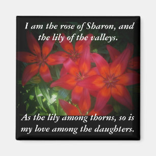 Ro i Sharon Magnet