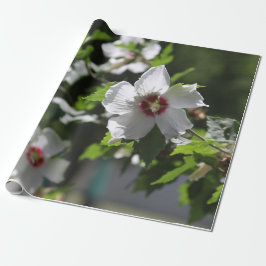 Ro i Sharon Presentpapper