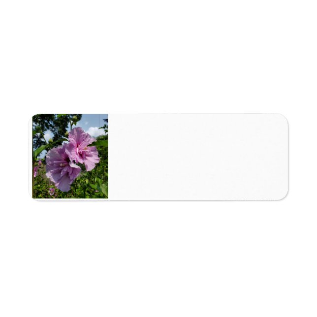 Ro i Sharon Returadress Etikett (Framsidan)