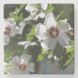 Ro i Sharon Stenunderlägg