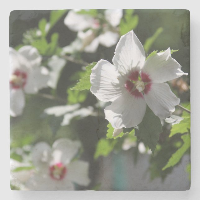 Ro i Sharon Stenunderlägg (Framsidan)