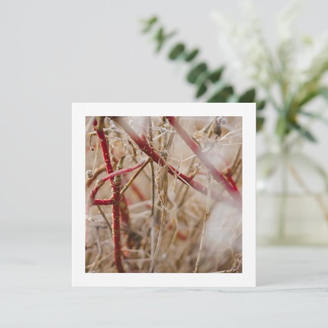 Ro i Vilden för  Affärskort Inbjudningar (Stående Fram)