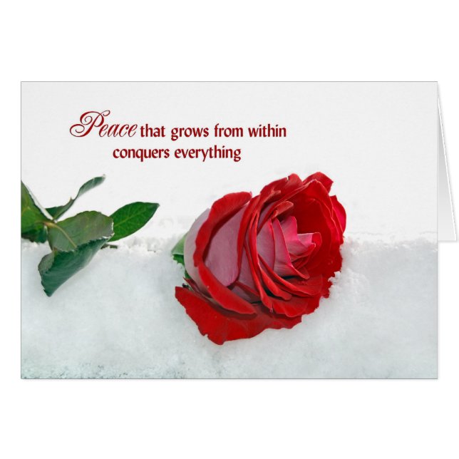 Ro i Winter OBS Kort (Framsidan Horizontal)