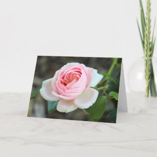 Ro ’Joie de Vivre’, Roath Park, Cardiff Kort