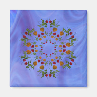 Ro Kaleidoscope Magnet