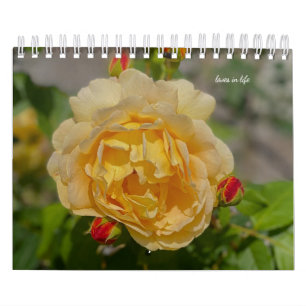 Ro Kalender