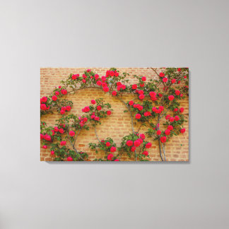 ro klättrar på en mur på ett utsträckt kanvastryck