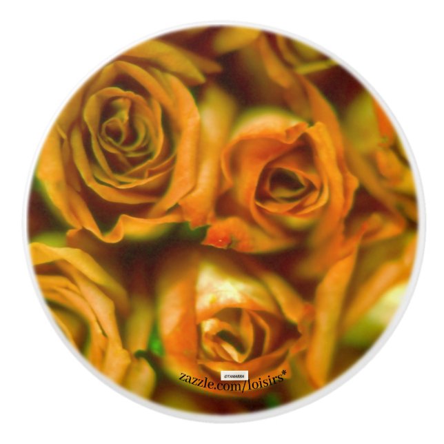 Ro Knopp (Framsidan)