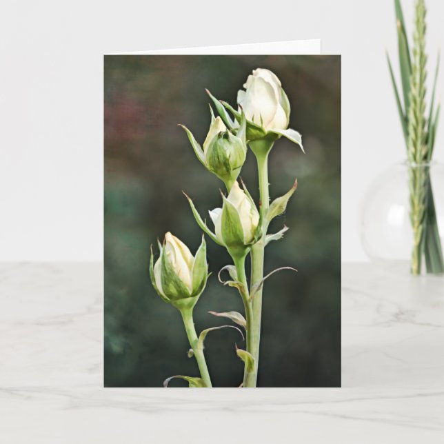 Ro-konturanteckningskort för buntkonst kort (Framsida)