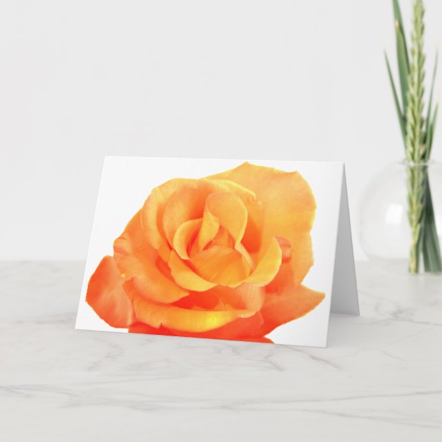 Ro-kort för orange kort (Framsida)
