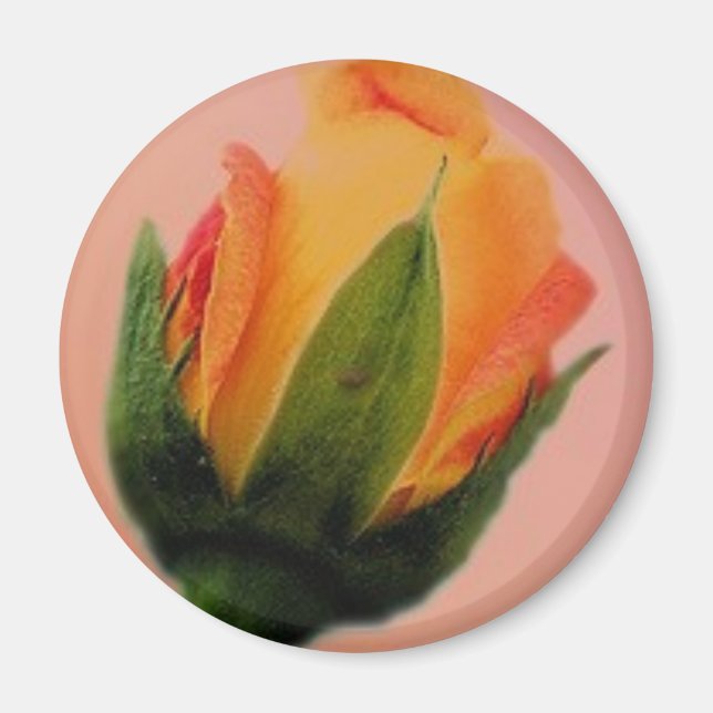 ro lilla zazzle magnet (Framsidan)