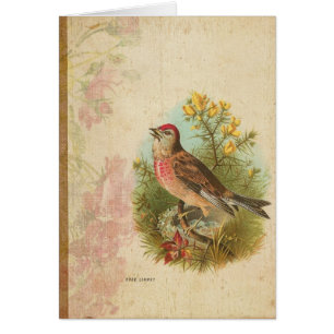 Ro Linnet Hälsningskort