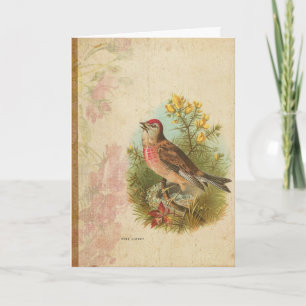 Ro Linnet Kort