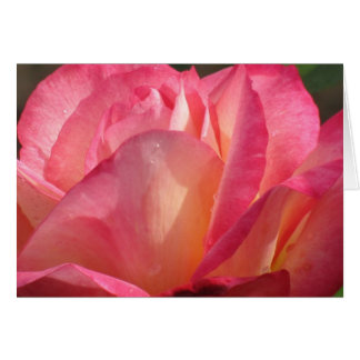 Ro Lotus Hälsningskort