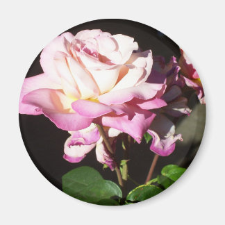 Ro Magnet