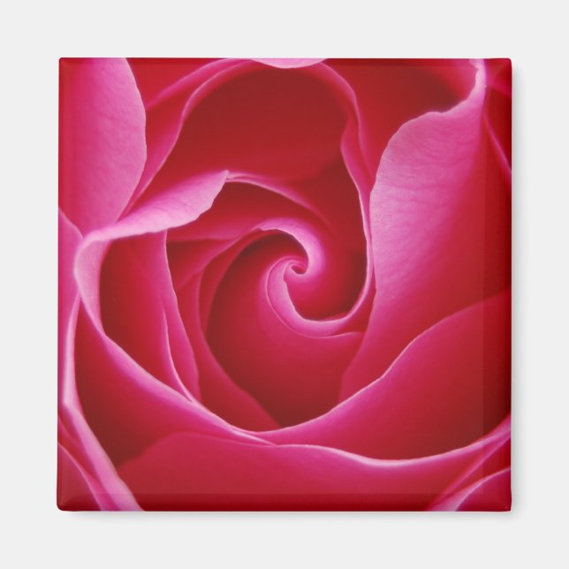Ro Magnet (Framsidan)