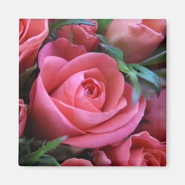 Ro Magnet (Framsidan)