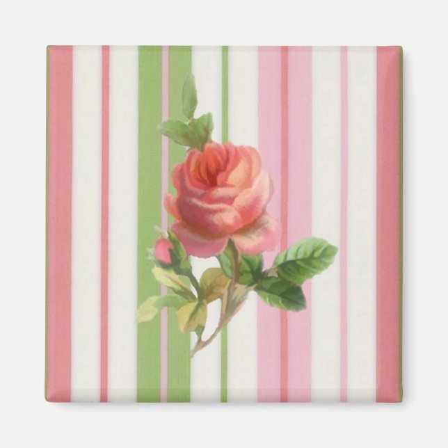 Ro Magnet (Framsidan)