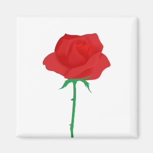 Ro Magnet