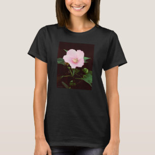 Ro Mallow Dam T-shirt med lång Sleeve
