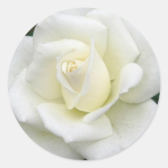 Ro Meanings Sticker Runt Klistermärke (Framsida)