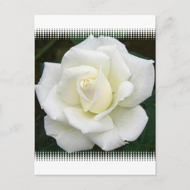 Ro Meanings-vykort Vykort (Framsida)