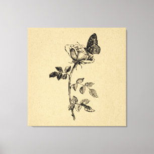 Ro med Butterfly Vintage Art Canvastryck
