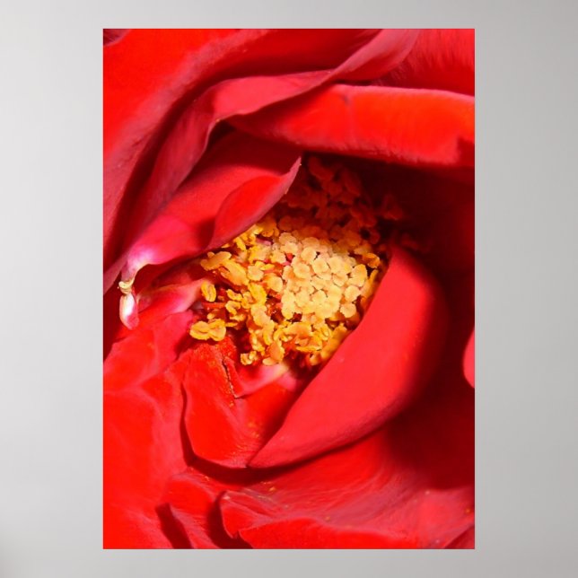 ro mf poster (Framsidan)