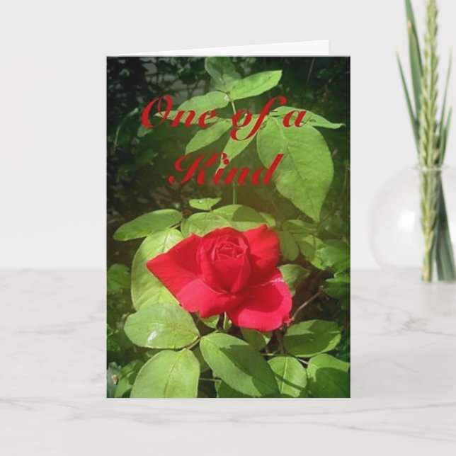 Ro Mors dag-kort Kort (Framsida)