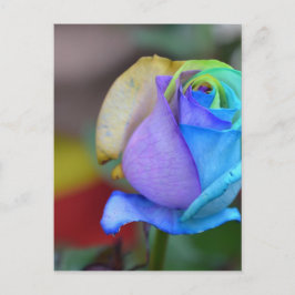 Ro Nature Landscapes Grattiss Smile Vykort