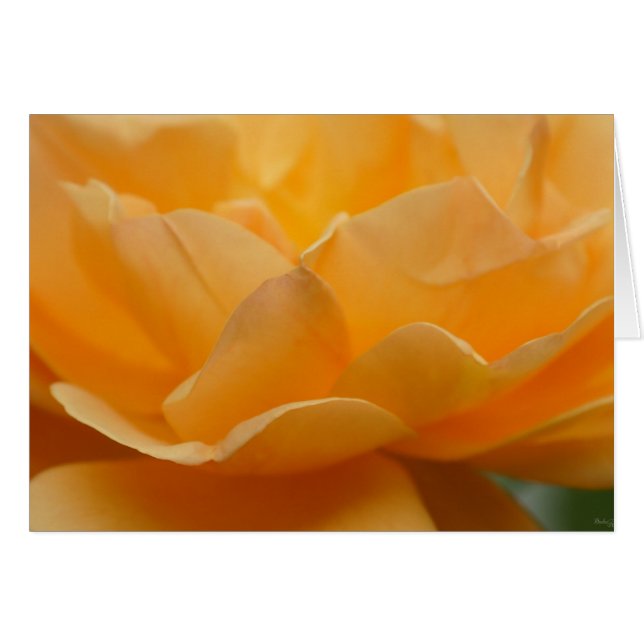 Ro OBS Kort (Framsidan Horizontal)