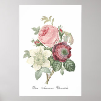 Ro och Anemone Poster