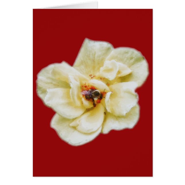 Ro och Bee OBS Kort (Framsidan)