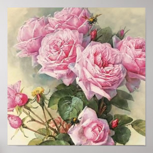 Ro och Bumblebees Paul de Longpre Fine Art Poster