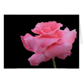 Ro- och chokladkort hälsningskort