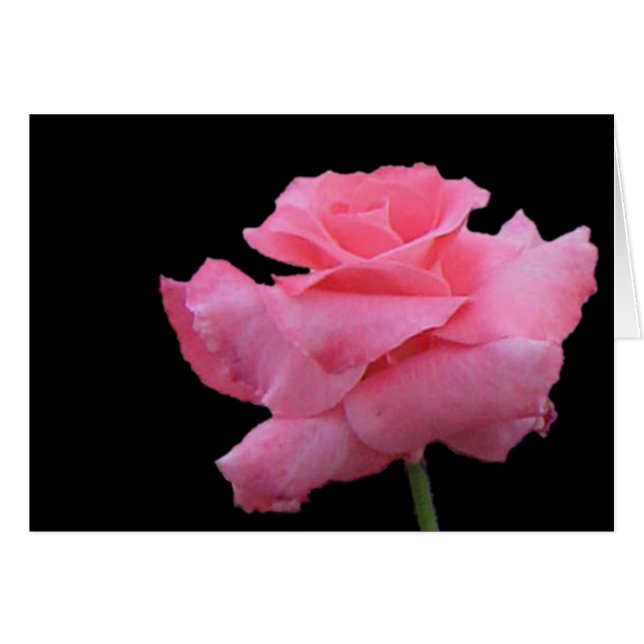 Ro- och chokladkort hälsningskort (Framsidan Horizontal)