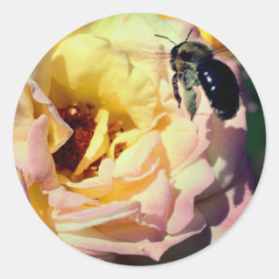 Ro och Humla blomma Runt Klistermärke