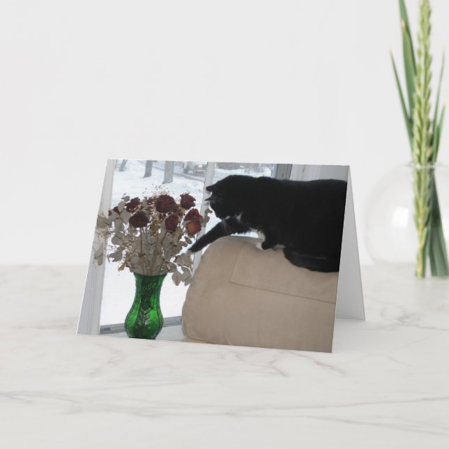 Ro och Katt Helgkort (Framsida)