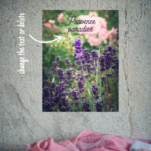 Ro och lavender blommar från Provence-trädgården Poster