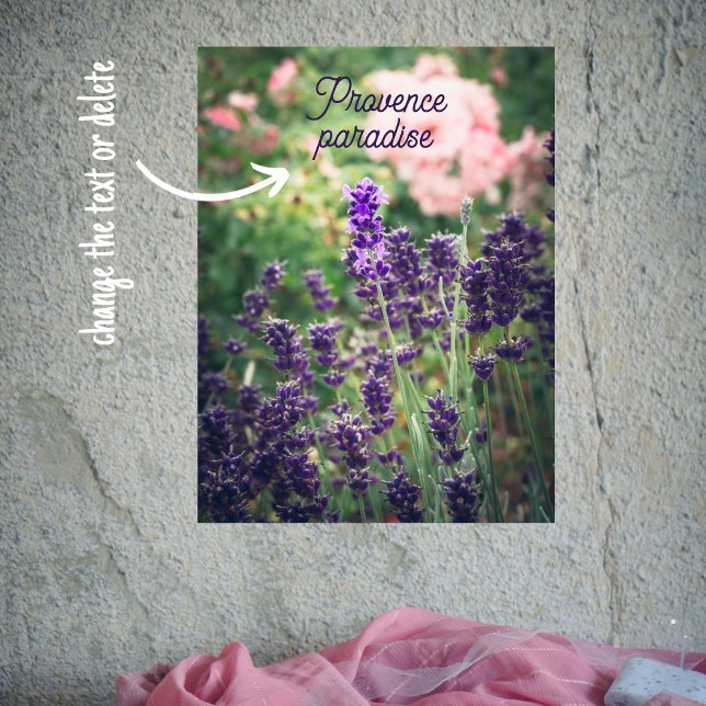 Ro och lavender blommar från Provence-trädgården Poster (Skapare uppladdad)