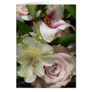 Ro och Lily OBS Kort