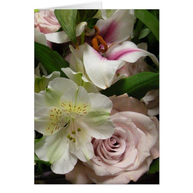 Ro och Lily OBS Kort (Framsidan)