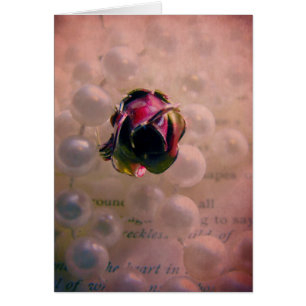 Ro och Pearls still Life Hälsningskort